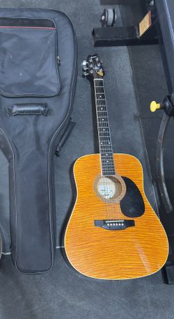 Guitar and Carrying Protective Bag