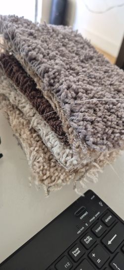 Carpet And Padding