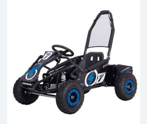 1000 Watt Electric Go Kart Brushless Motor