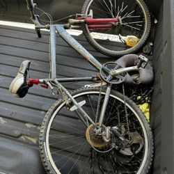 Schwinn Ranger
