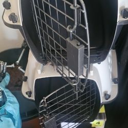 Cat Items