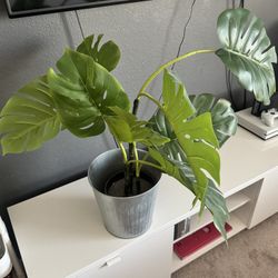 IKEA Artificial Plant
