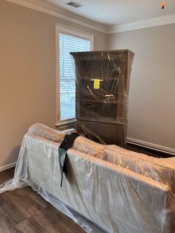 Professional Painting