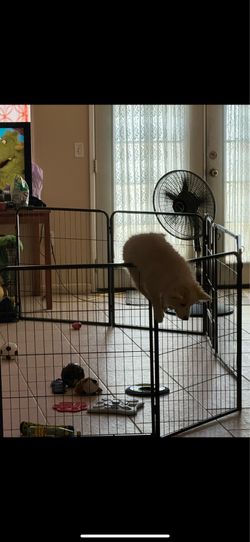 Dog cage