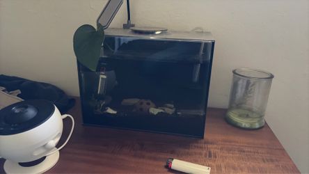 12in by 7 in fish or snail tank (must pick up)