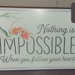 Disney Little Mermaid Block & Snowglobes!!