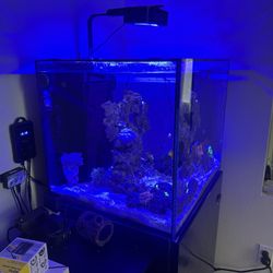 Red Sea Reefer 170 – Complete Setup for Sale - salt water aquarium