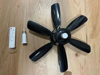 Fan whit light