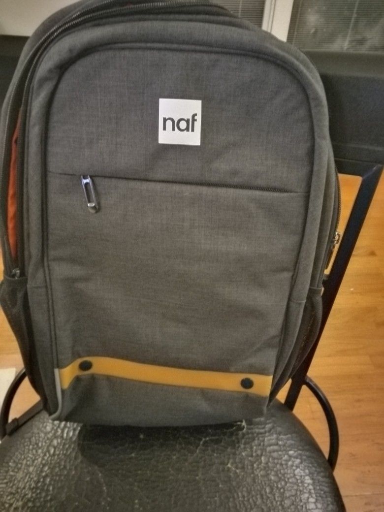 Back Pak/ Laptop Bag- Never Used