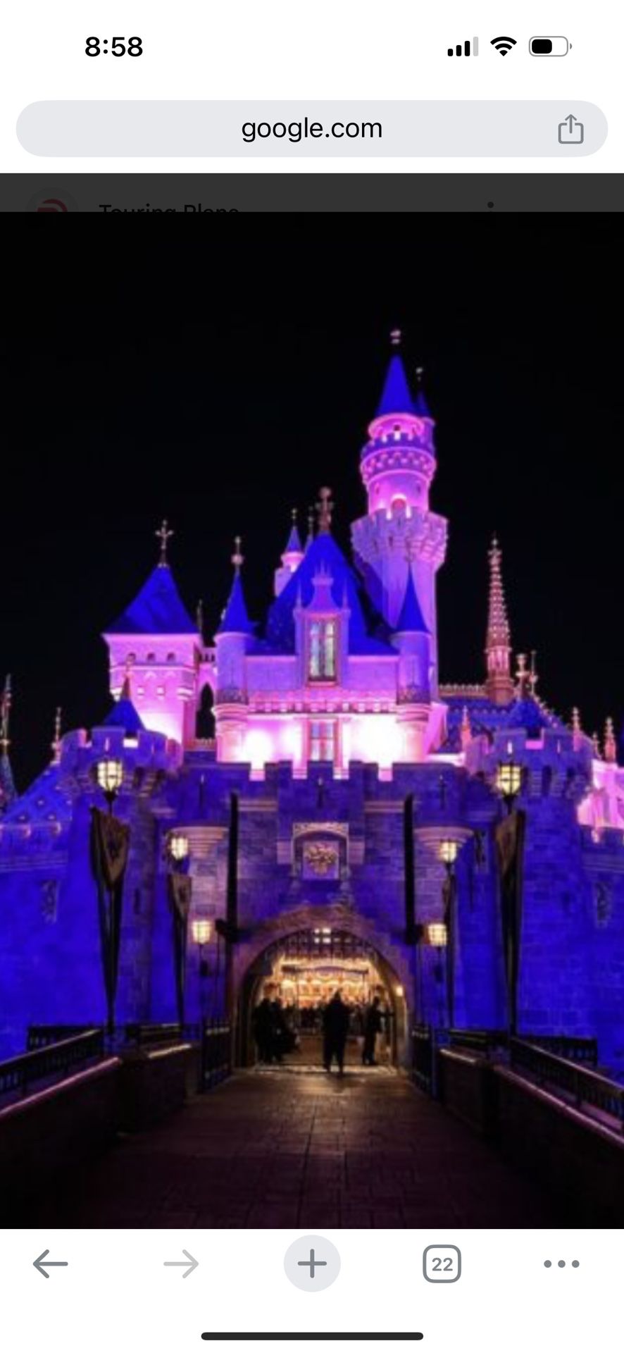2 Disneyland Park Tickets
