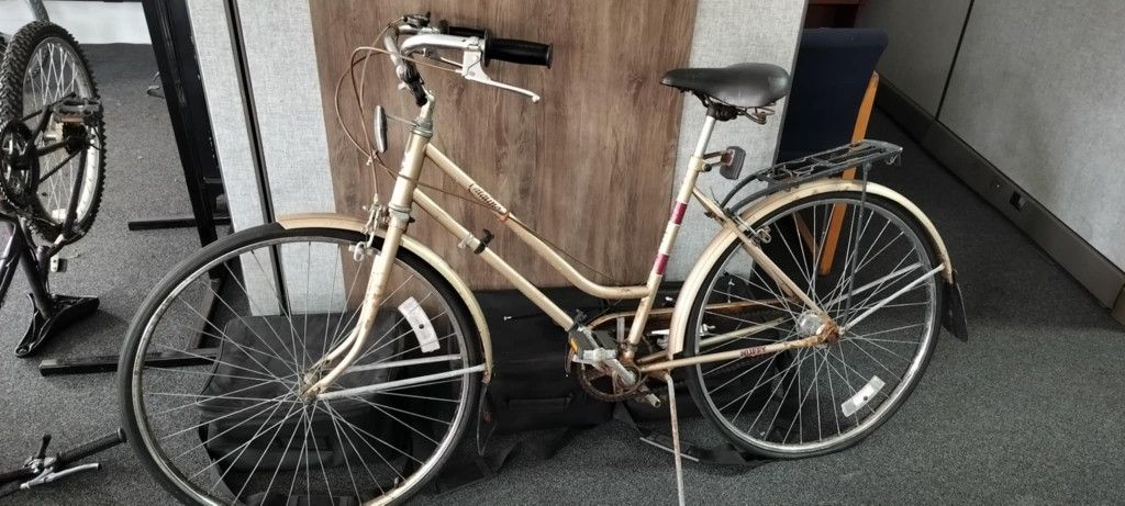 Catalina Classic Mountain Bike