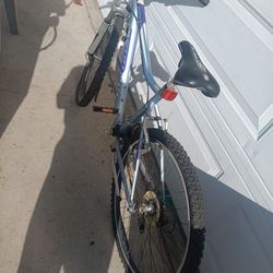 schwinn women bike