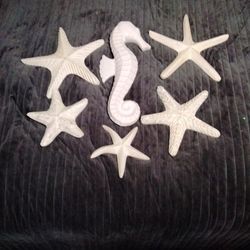 Nautical Wall Decor 6  piece Set