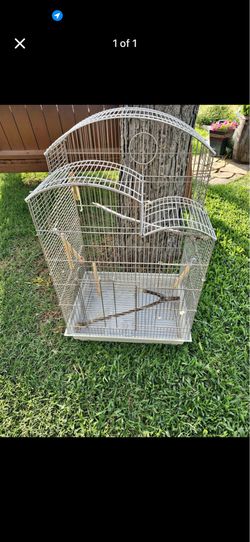 Bird cage