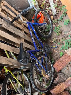 FREE 20” bike