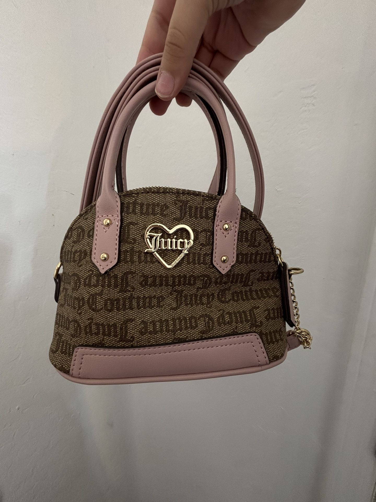 Small Juicy Bag Comes With Wallet