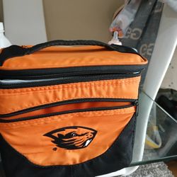 Luch Box Bag
