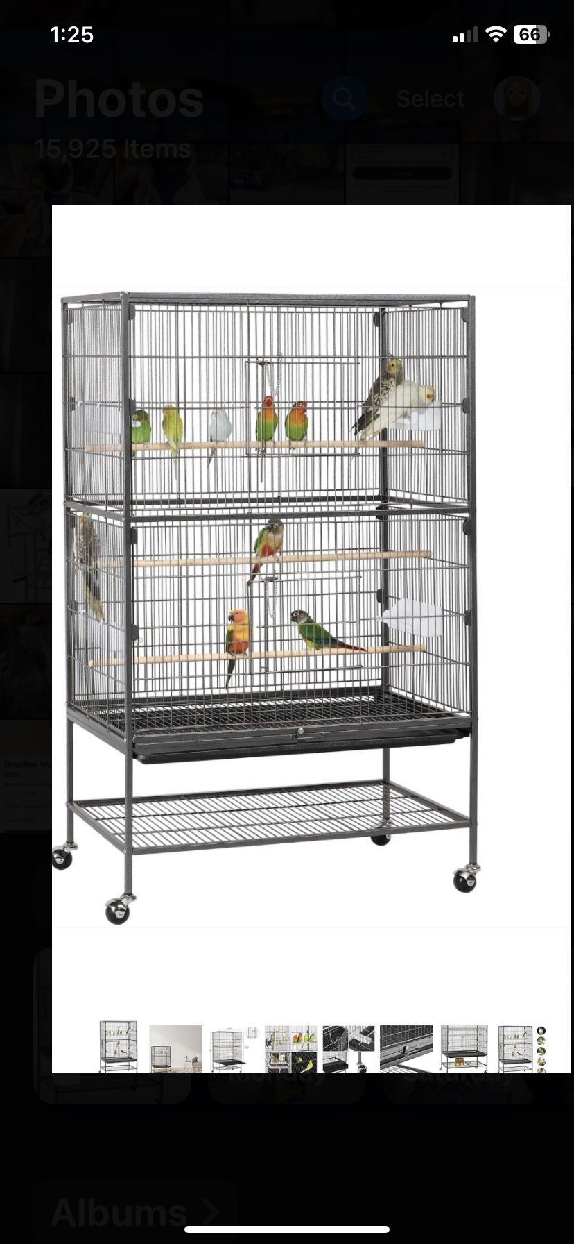 Bird Flight Cage