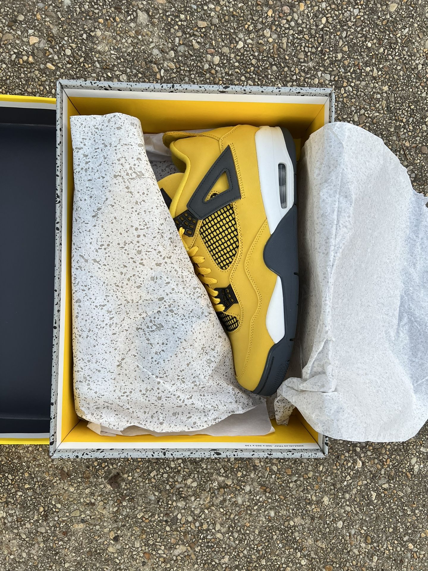 Jordan 4 Lightning