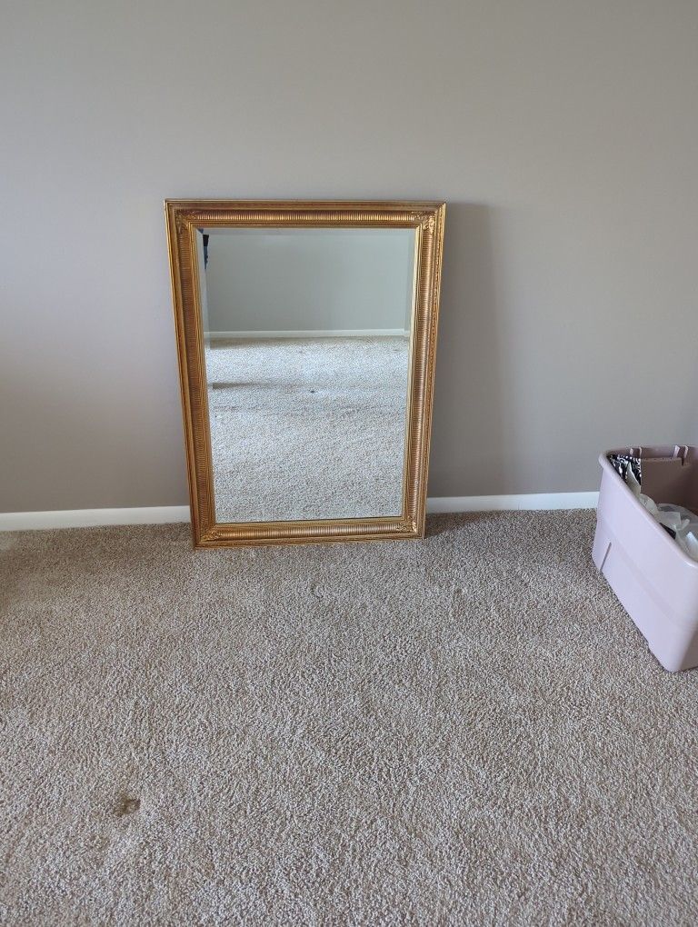29" x 41" Framed Mirror