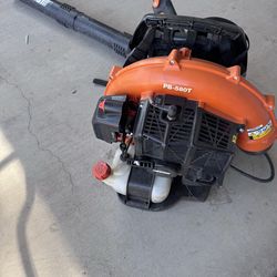 Toro blower and Echo Backpack. Both need Work!