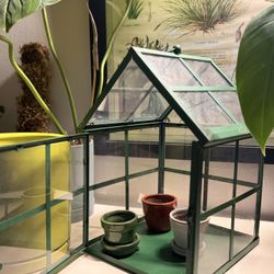 🌿✨ MINI GREENHOUSE — PLANT LOVER MUST-HAVE ✨🌿