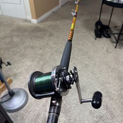 Ugly Stik/ Daiwa Sealine Deep Sea Fishing Set Up