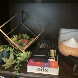 Essential Oils And Diffuser And Fake Plants