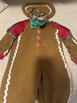 Gingerbread costume kids