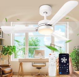 Ceiling Fans Lights with APP & Remote Control: 30 Inch Low Profile White