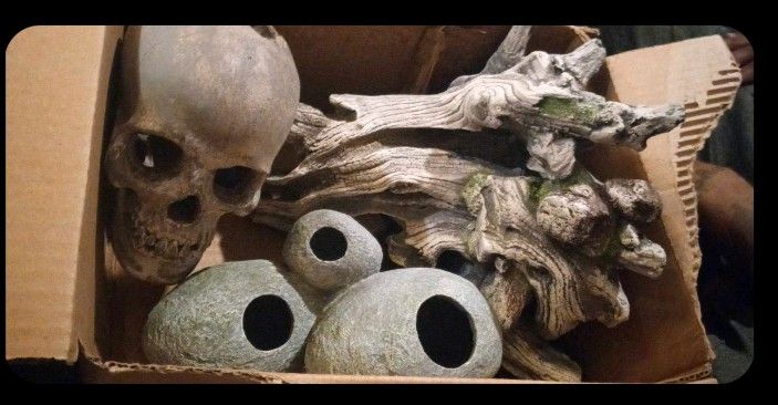 Aquarium Supplies