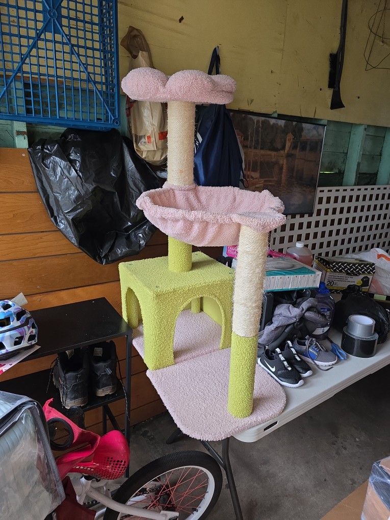 Cat House
