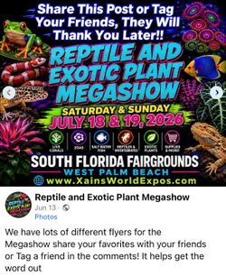 Aquarium Reptile Plants Show