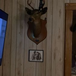 1970s Marlboro Lithograph And 1955 Eight Point White Buck Deer