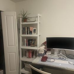 Leaning Bookshelves 