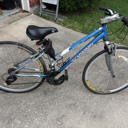 Schwinn Bike