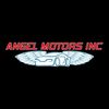 Angel Motors Inc