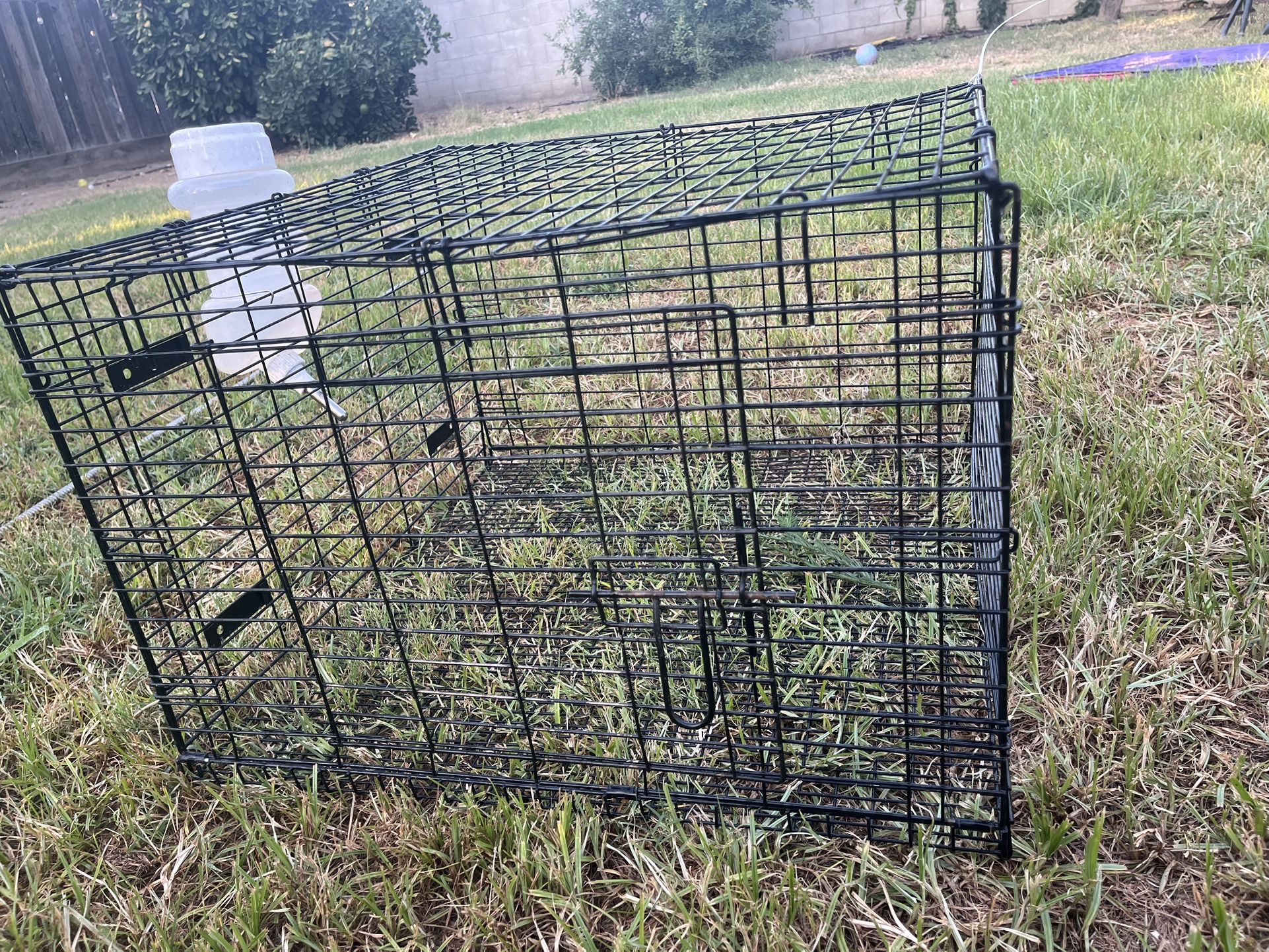 Rabbit Cage
