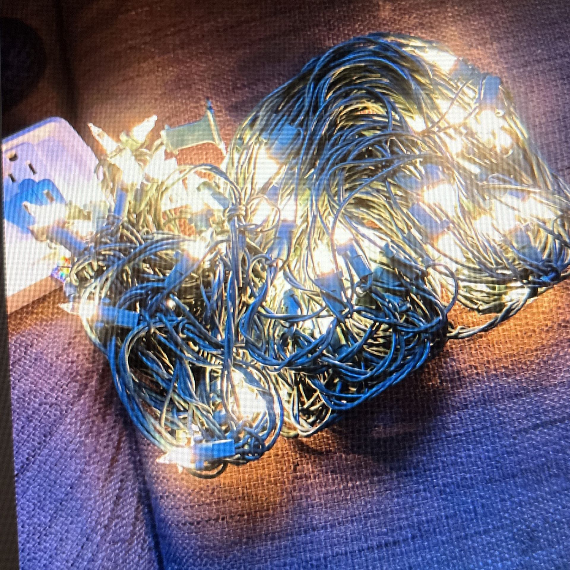Holiday Living Clear Mini Lights