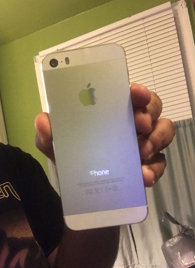 iPhone 5s Silver/White