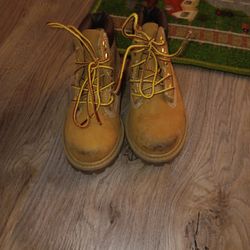 Timberlands Size 6.5 Toddler 