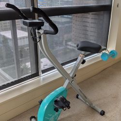 
ProForm Foldable Exercise Bike