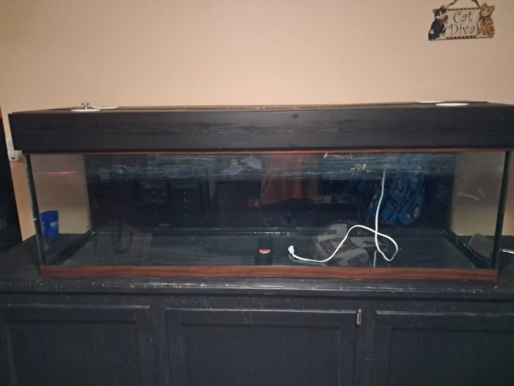 125 Gallon Aquarium