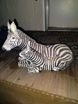 Zebra