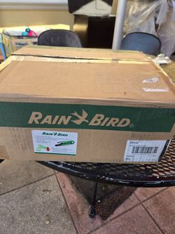 Rain bird
