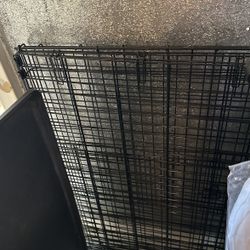 Dog Cage 