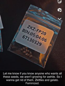 Skittles Or Gelato Seeds Feminized