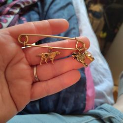Pin