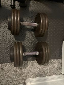 65 LBS Dumbells