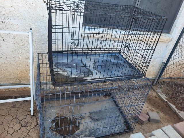 Dog Kennels 